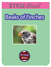 Beaks of Finches Brochure's Thumbnail