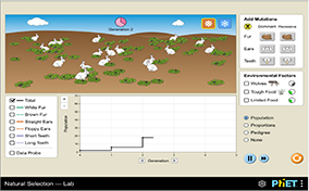 Bunnyland Thumbnail