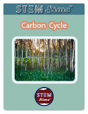 Carbon Cycle Brochure's Thumbnail