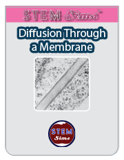 Diffusion Membrane Brochure's Thumbnail