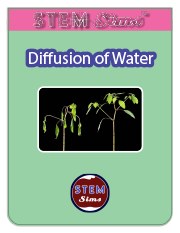 Diffusion Water Brochure's Thumbnail