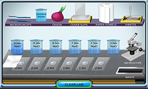 Diffusion Water Thumbnail