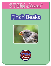 Finch Beaks Brochure's Thumbnail