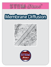 Membrane Diffusion Brochure's Thumbnail