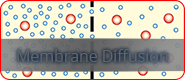 Membrane Diffusion's Link