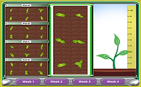 Plant Growth Thumbnail