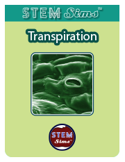 Transpiration Brochure's Thumbnail