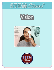 Vision Brochure's Thumbnail